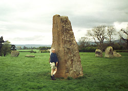 Gazza with Long Meg and Her Daughters
