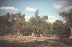 Burnsie with the Nine Ladies